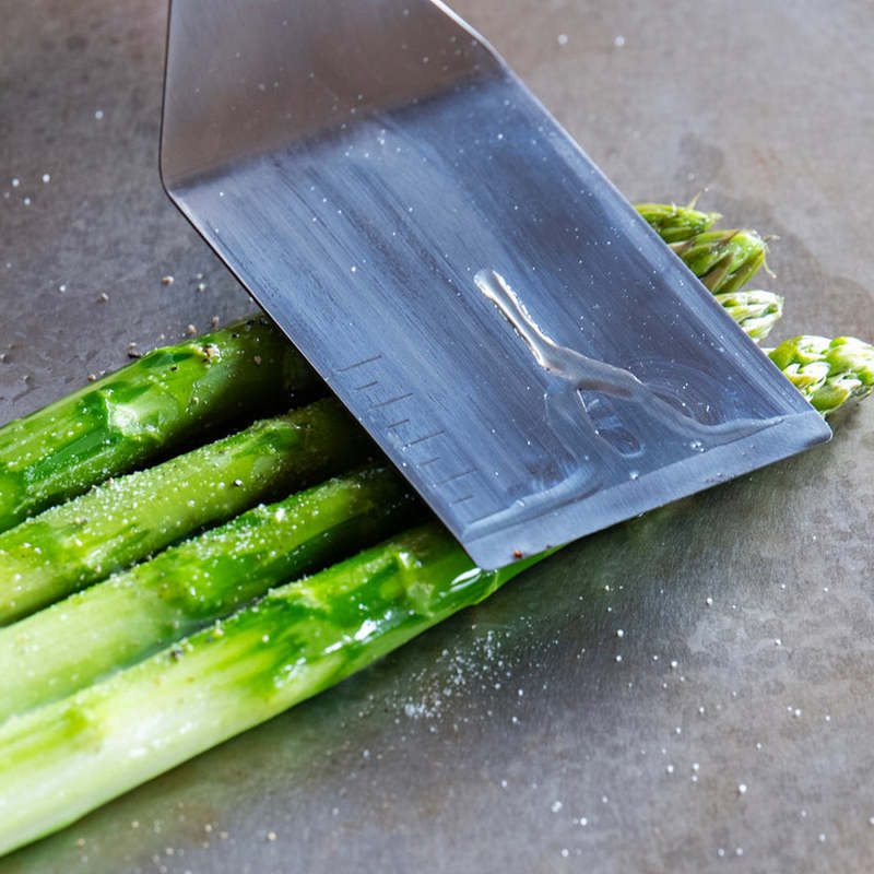 Balmuda Teppanyaki Grill