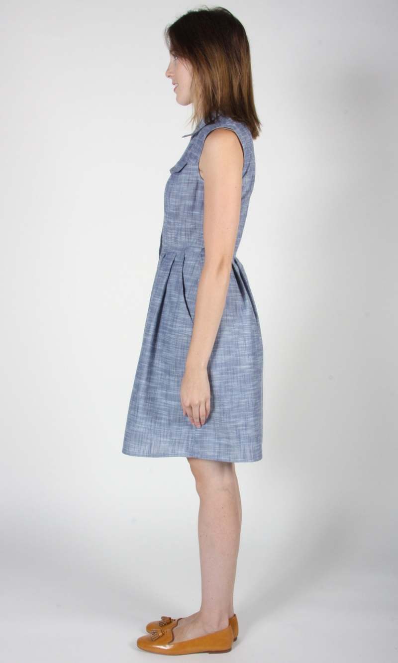 Birds of North America Vanneau Dress