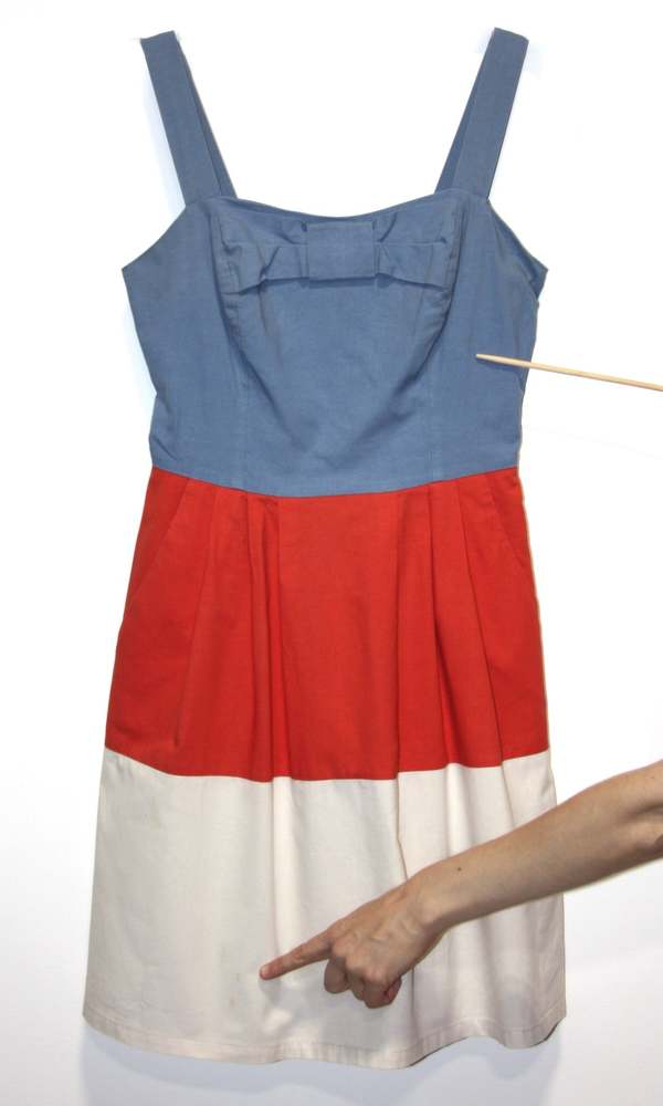 Birds of North America Spinetail Dress