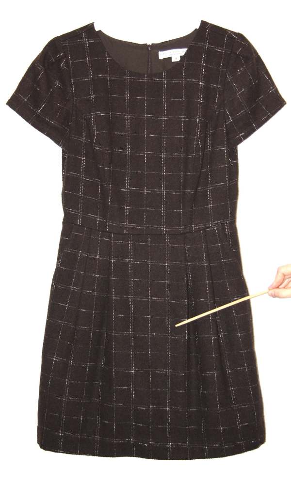 Birds of North America Drongo Dress