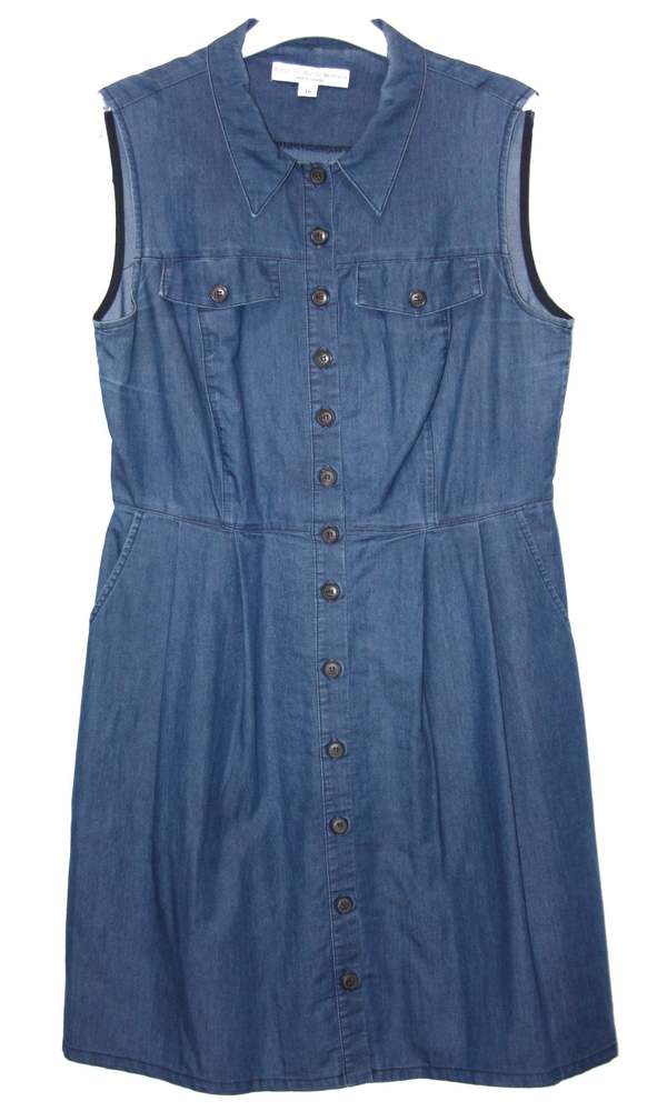 Birds of North America Raven Dress