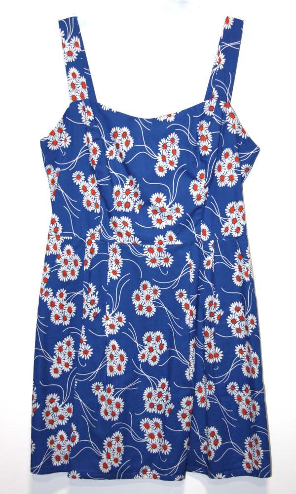 Birds of North America Starfrontlet Dress
