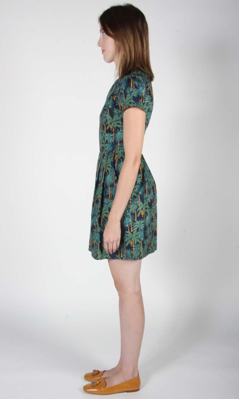 Birds of North America Engoulevent Dress