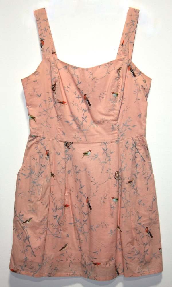 Birds of North America Starfrontlet Dress