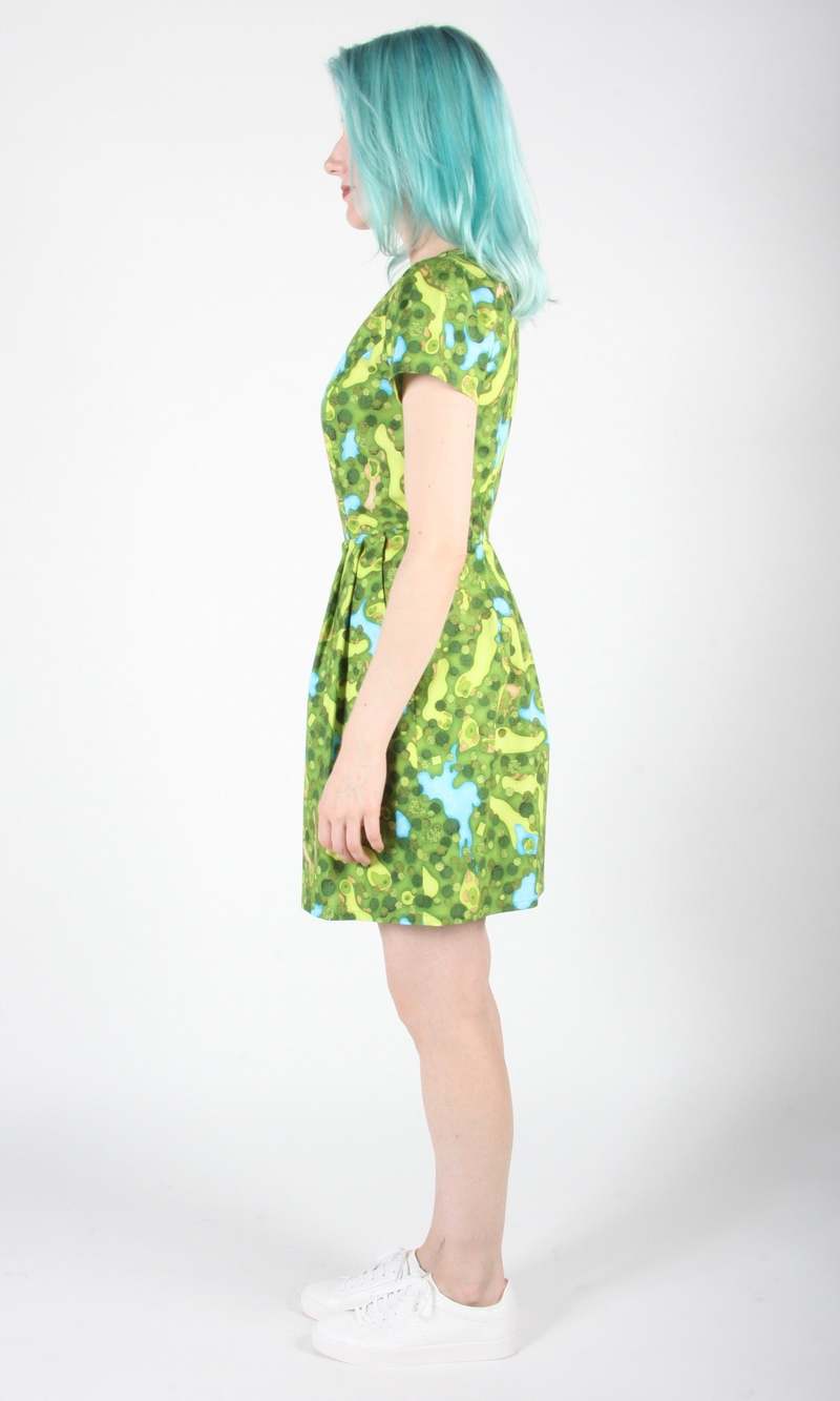Birds of North America Kittiwake Dress