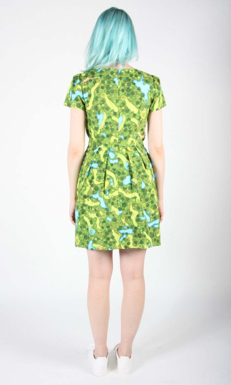 Birds of North America Kittiwake Dress