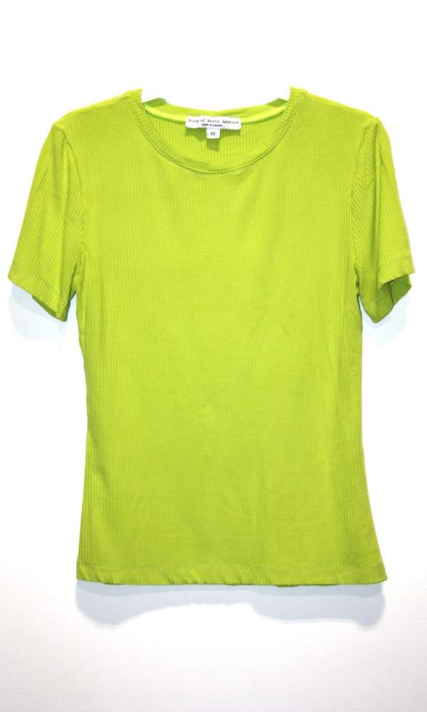 Birds of North America Dipper Tee