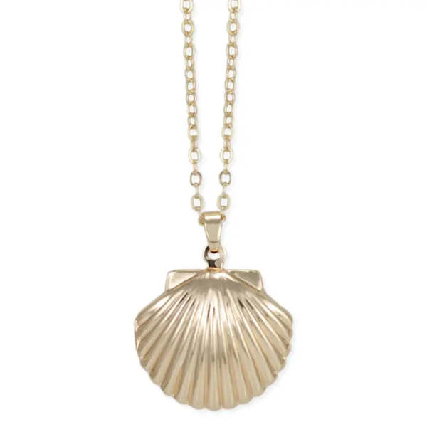 Slow Dance Shell Locket Necklace Slow Dance Shell Locket Necklace