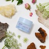 Ursa Major Forest Alchemy Eye Cream - Thumbnail 3