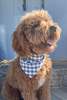 MODERNBEAST Gingham Bandana - Thumbnail 16