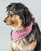 MODERNBEAST Gingham Bandana - Thumbnail 18