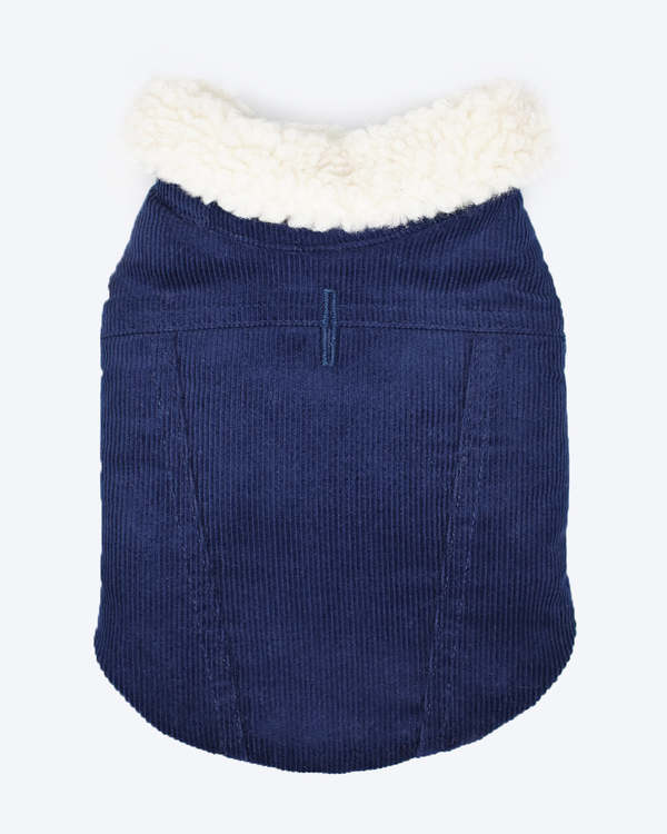 MODERNBEAST Modern Classic Coat