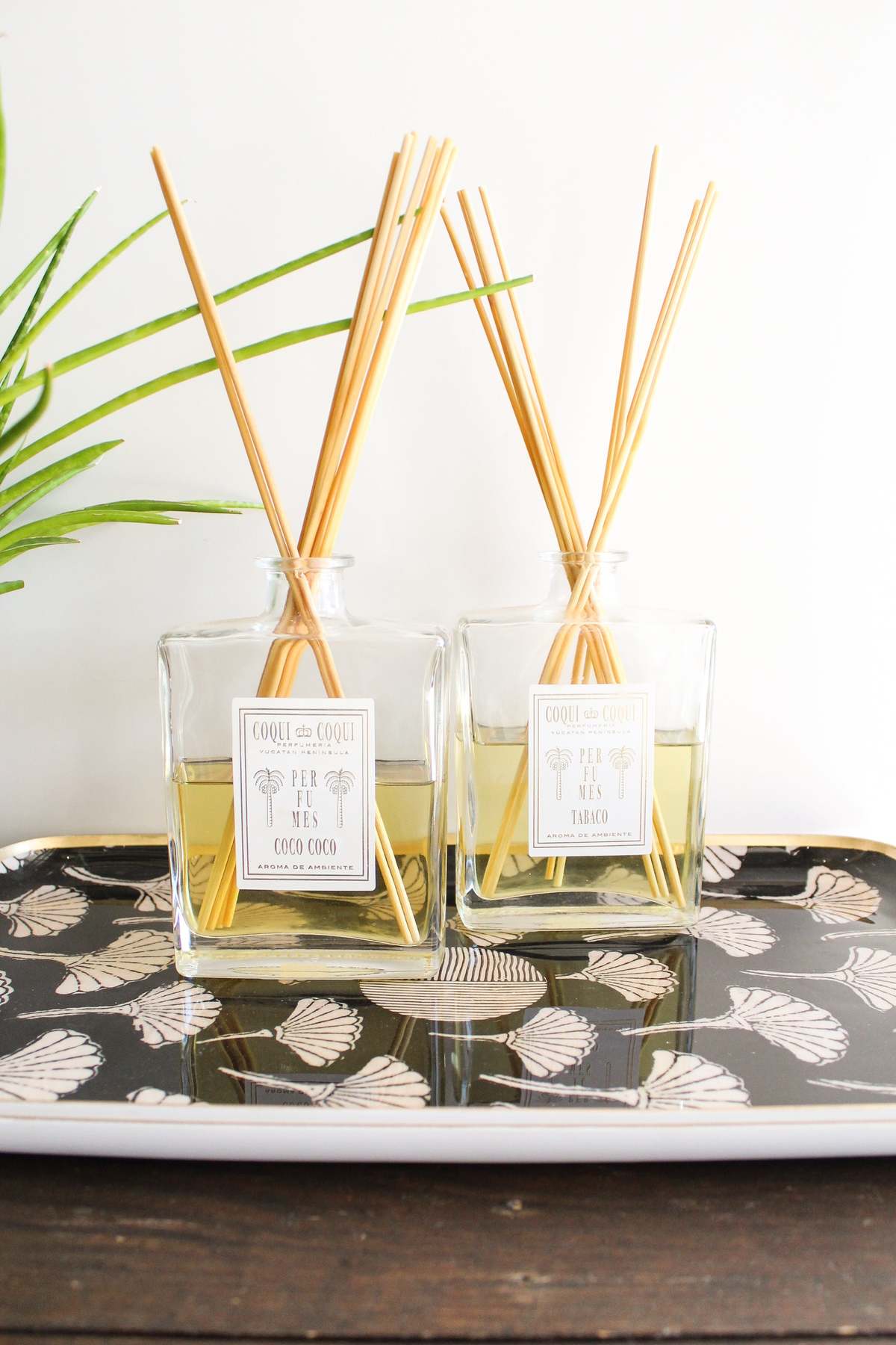 Coqui Coqui Diffuser - Image 1 of 3