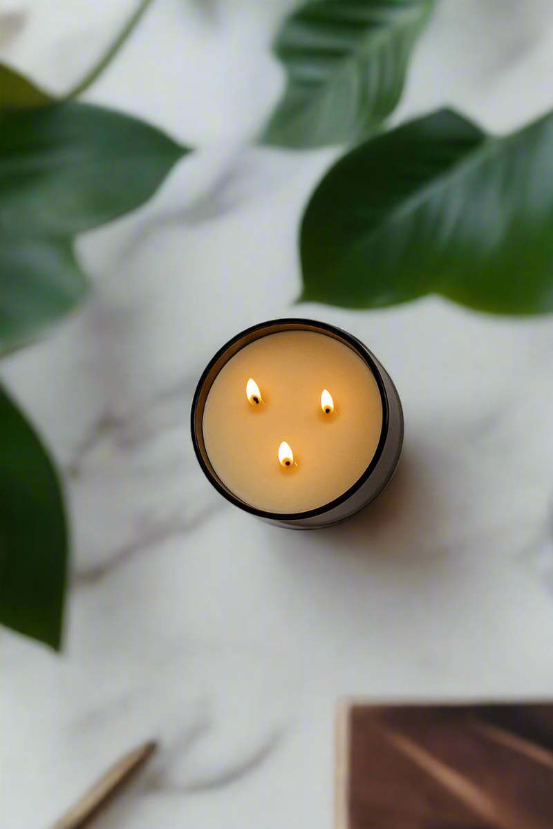 Slow North Lavender + Cedar Signature 3-Wick Candle