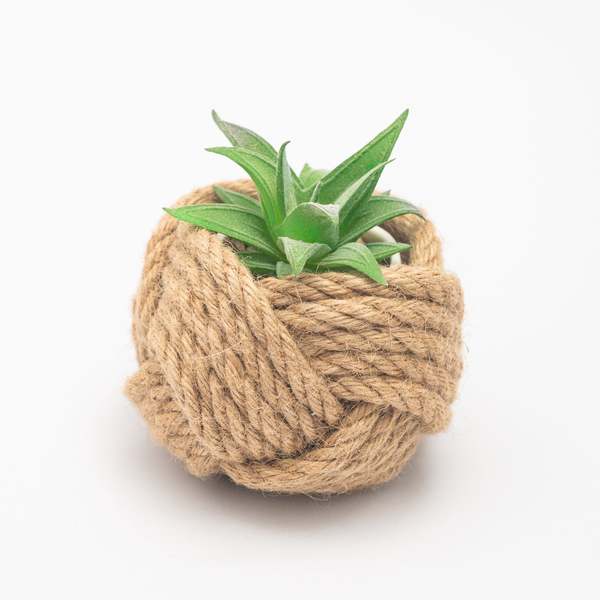 Starfish Project Mini Unbound Planter