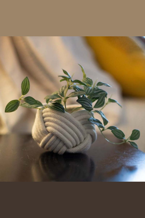 Starfish Project Mini Unbound Planter