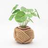 Starfish Project Unbound Jute Planter - Thumbnail 1
