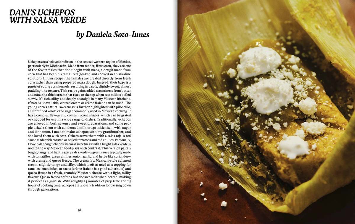 Apartamento El Bajio by Enrique Olvera Book - Image 6 of 9