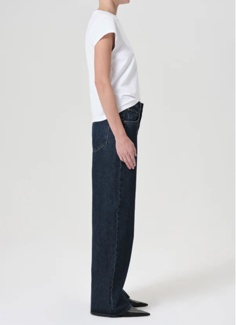 AGOLDE Low Curve Jean