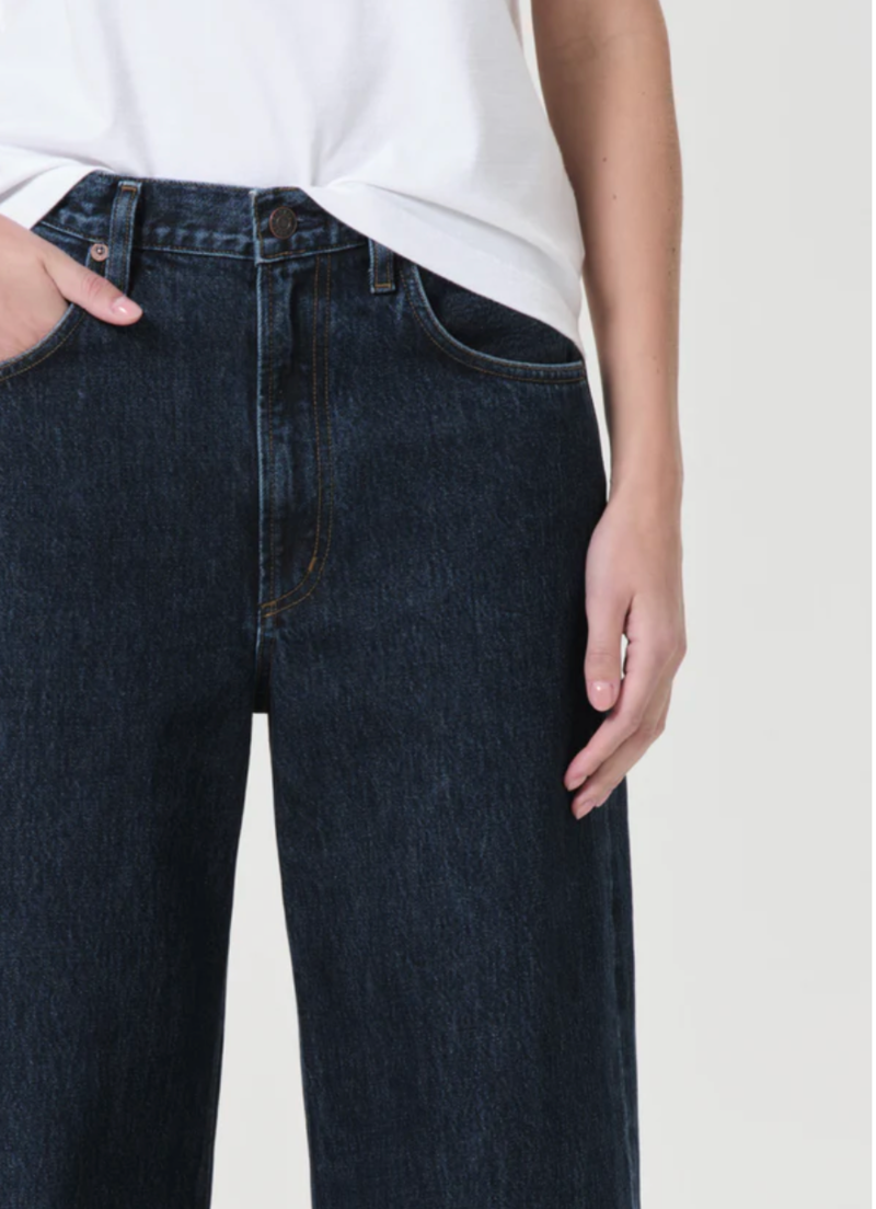 AGOLDE Low Curve Jean