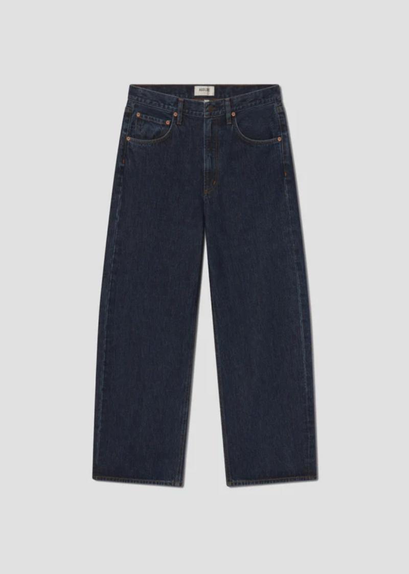 AGOLDE Low Curve Jean