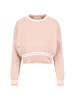 Marni Crop Crew Neck Sweater - Pink - Thumbnail 1