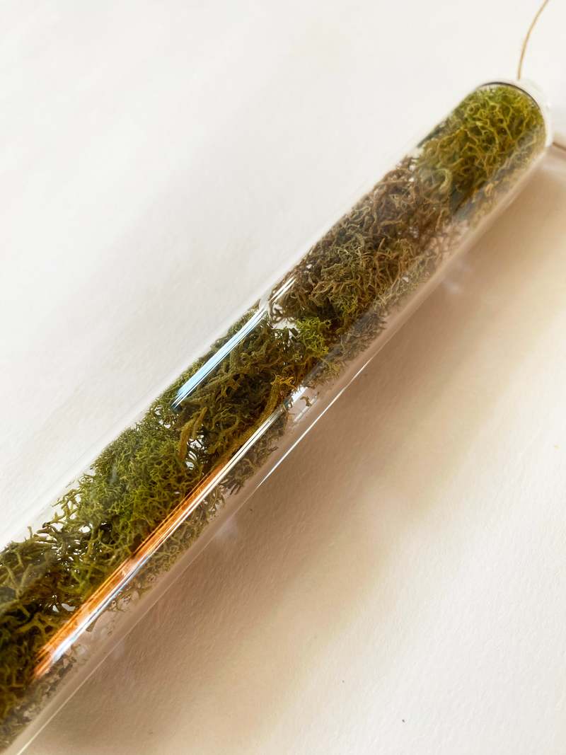 LBK Studio Encapsulation I Glass Object