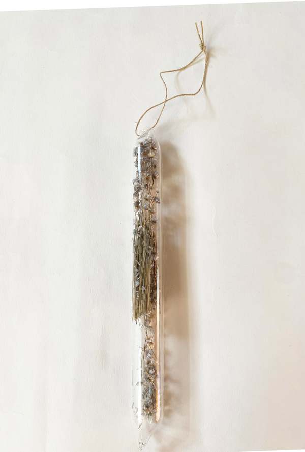LBK Studio Encapsulation V (Dried Flowers)