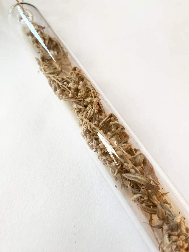 LBK Studio Encapsulation X Object