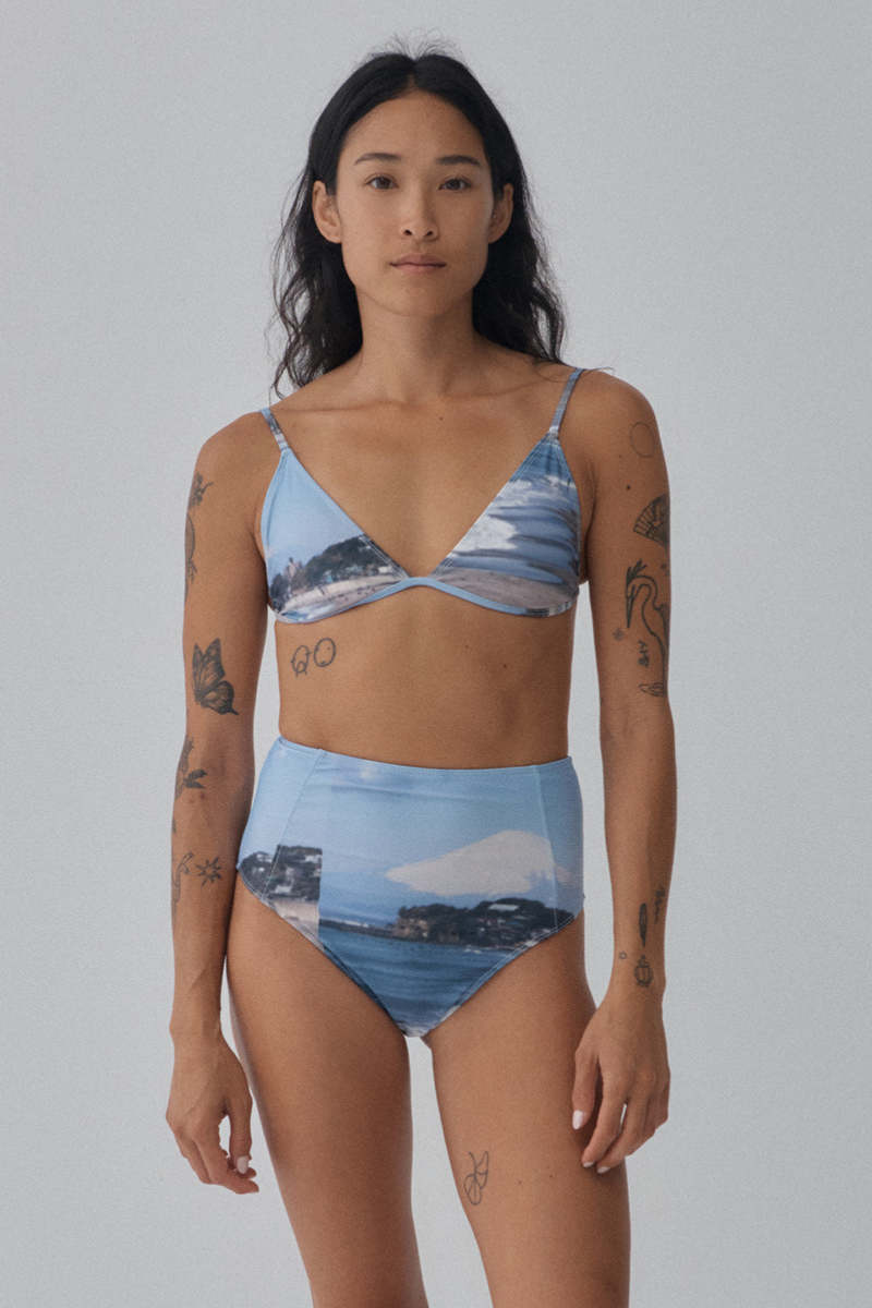 Hakea Santiago Bottom - Mt Fuji