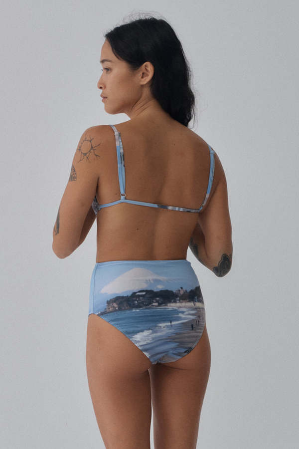 Hakea Santiago Bottom - Mt Fuji