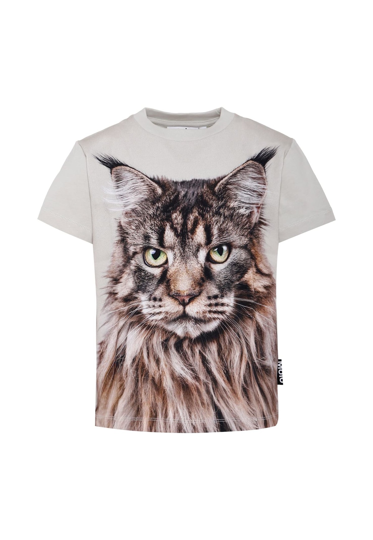 MOLO Cat T-shirt - Beige - Image 1 of 3