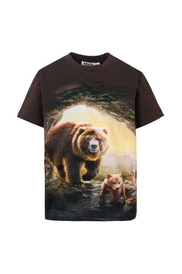 KIDS MOLO Bears T-shirt - Brown