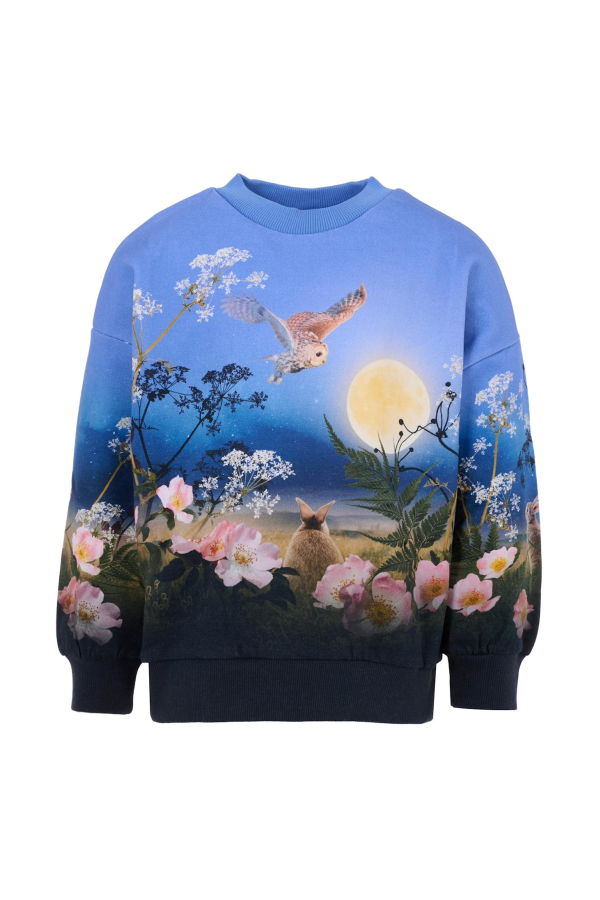 KIDS MOLO Moon Print Sweatshirt - Blue
