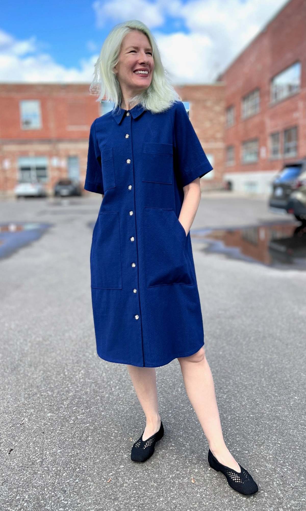 Birds of North America Ladyhawk Dress - Image 1 of 14