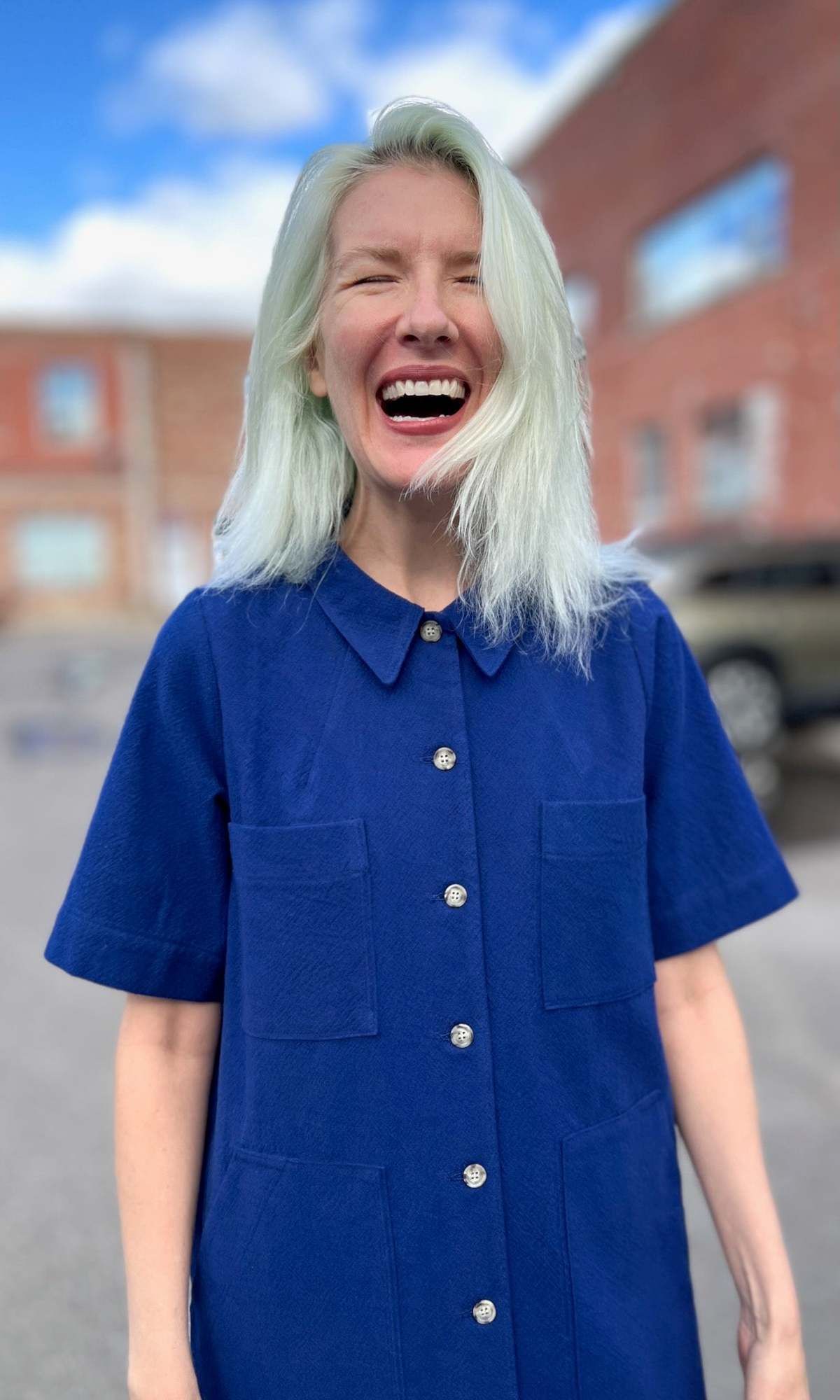 Birds of North America Ladyhawk Dress - Image 6 of 14