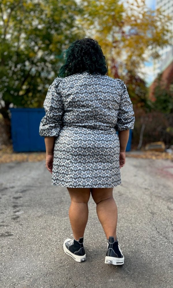 Birds of North America Nyctale Dress