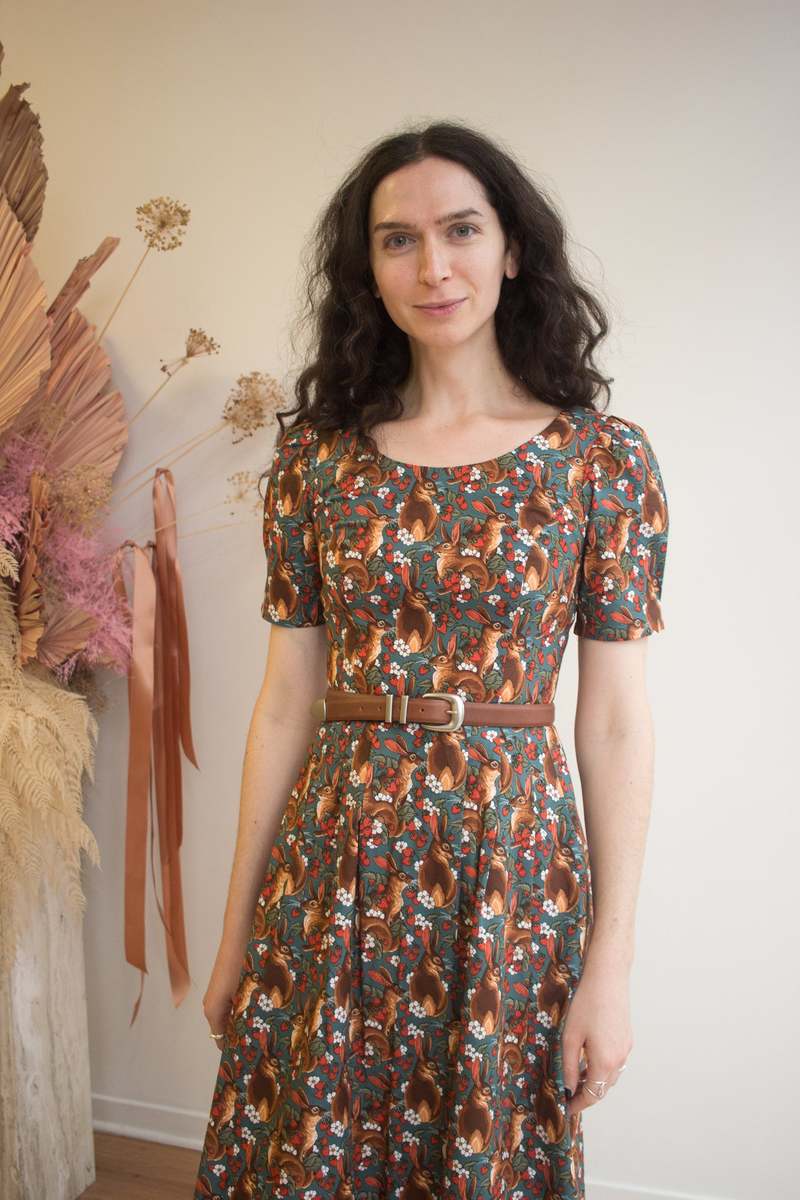 Birds of North America Winter Chippy Dress