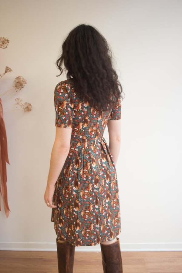 Birds of North America Winter Chippy Dress