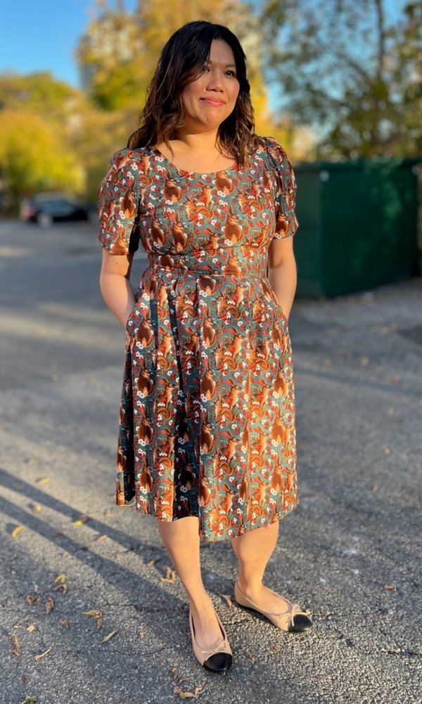 Birds of North America Winter Chippy Dress