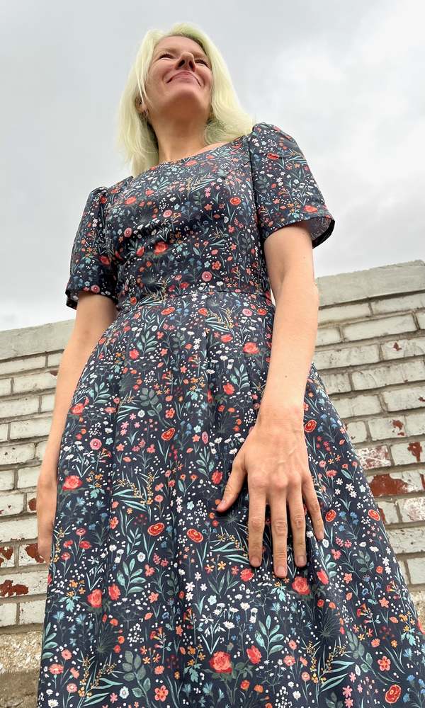 Birds of North America Winter Chippy Dress