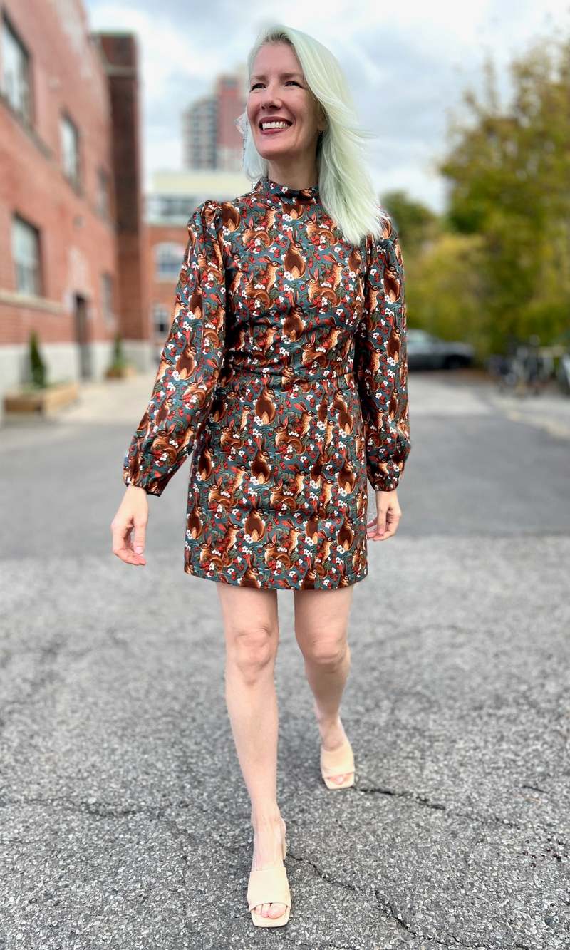 Birds of North America Nyctale Dress