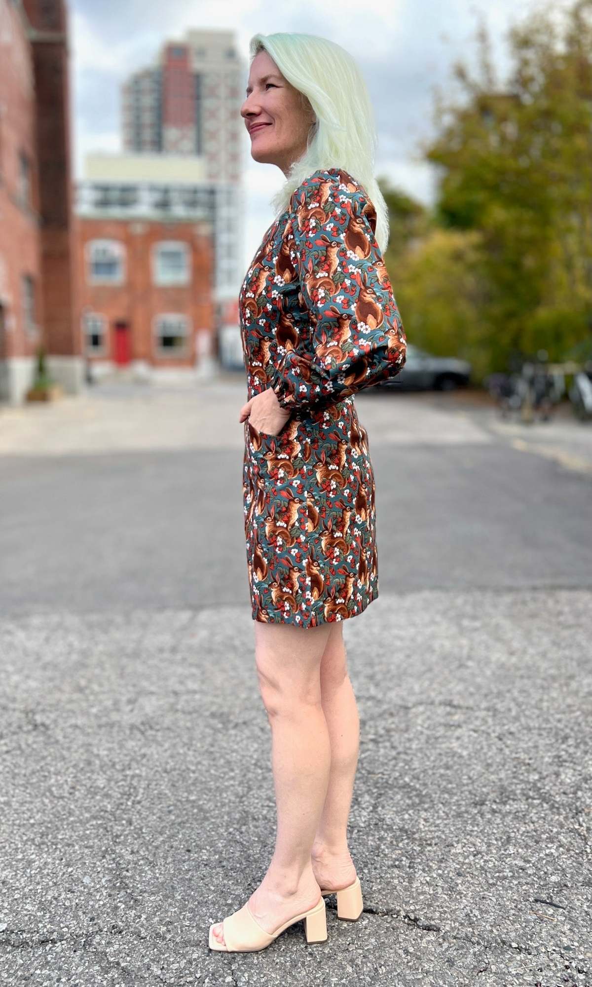 Birds of North America Nyctale Dress - Image 6 of 13