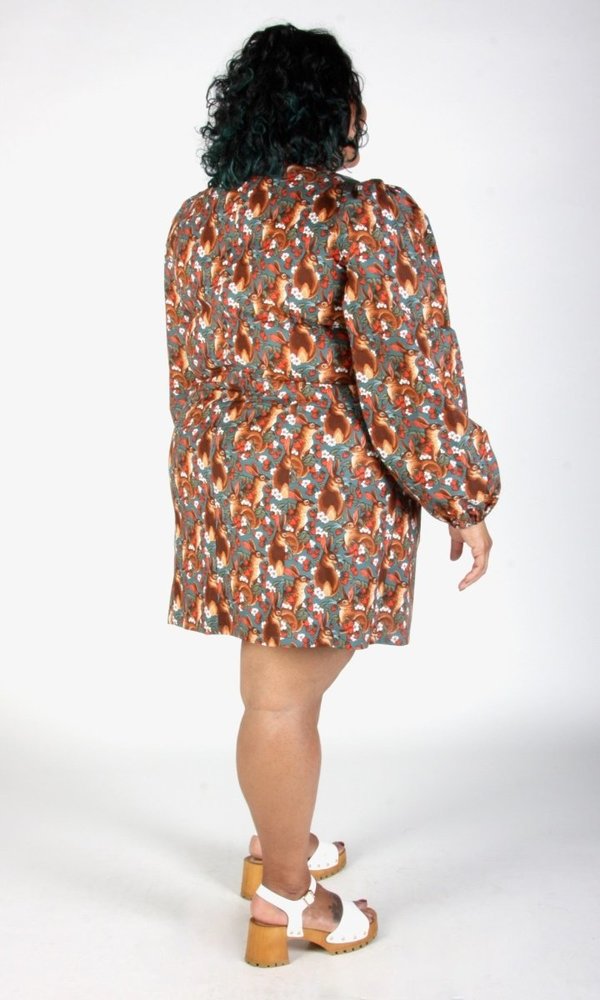 Birds of North America Nyctale Dress