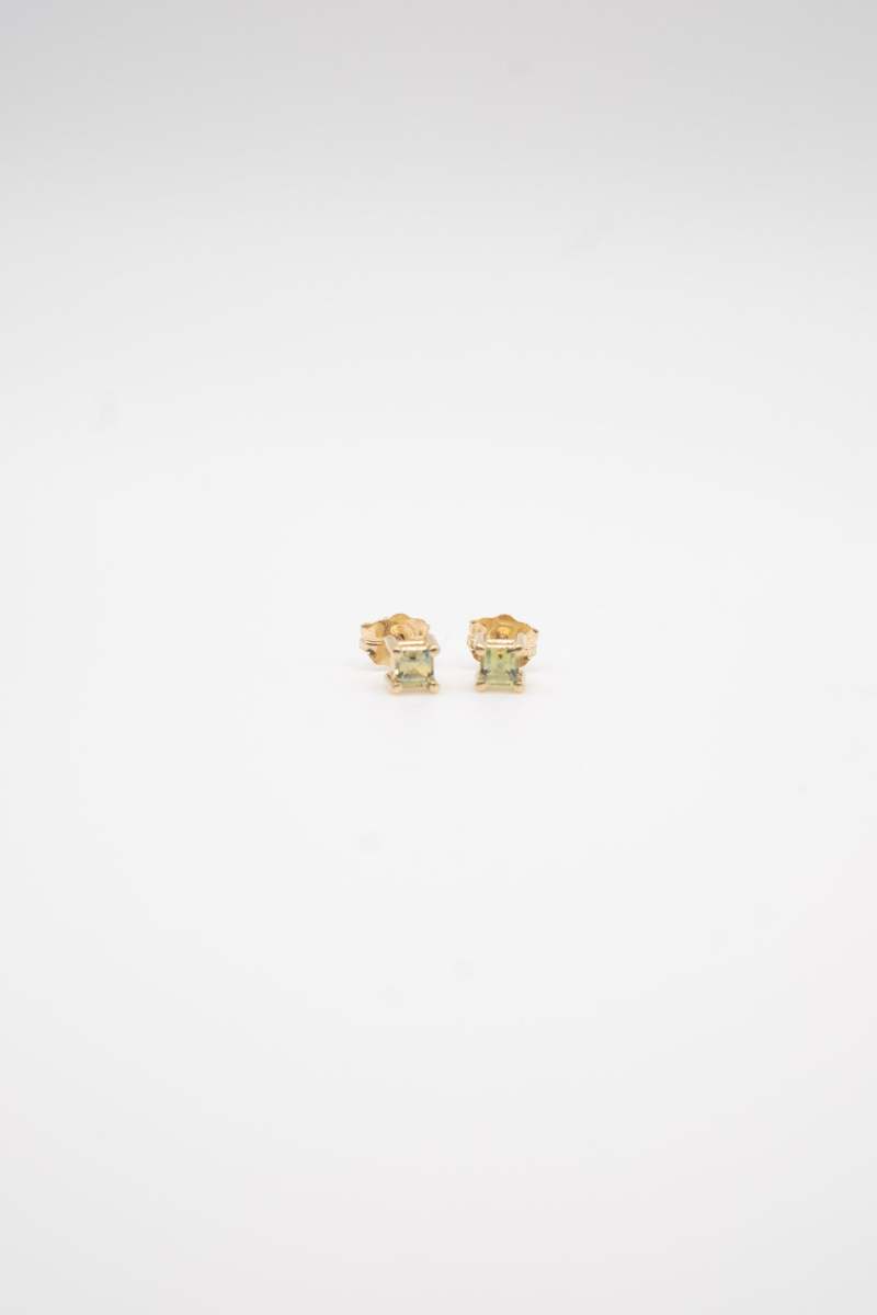 Young in the Mountains Sisu Stud Earrings