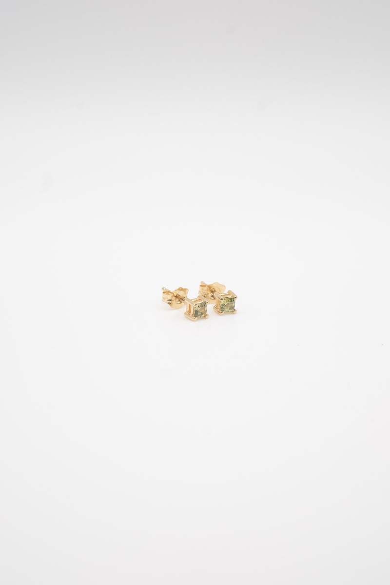 Young in the Mountains Sisu Stud Earrings
