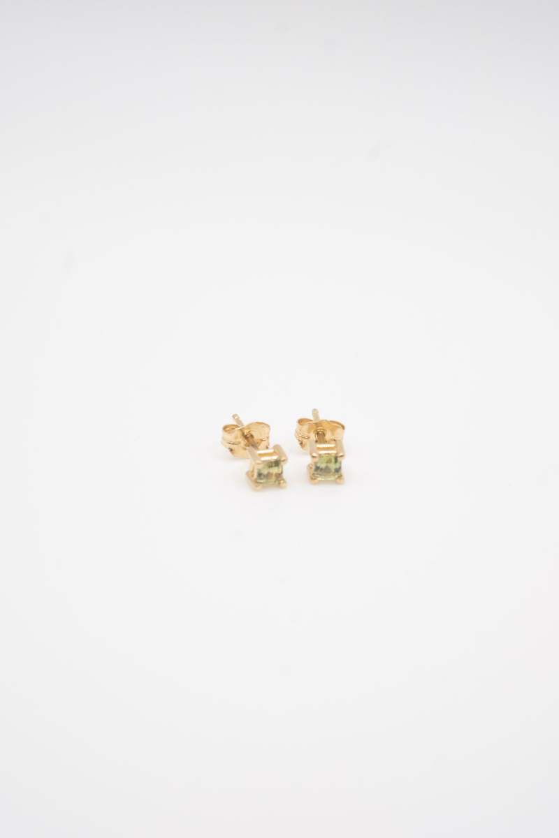 Young in the Mountains Sisu Stud Earrings