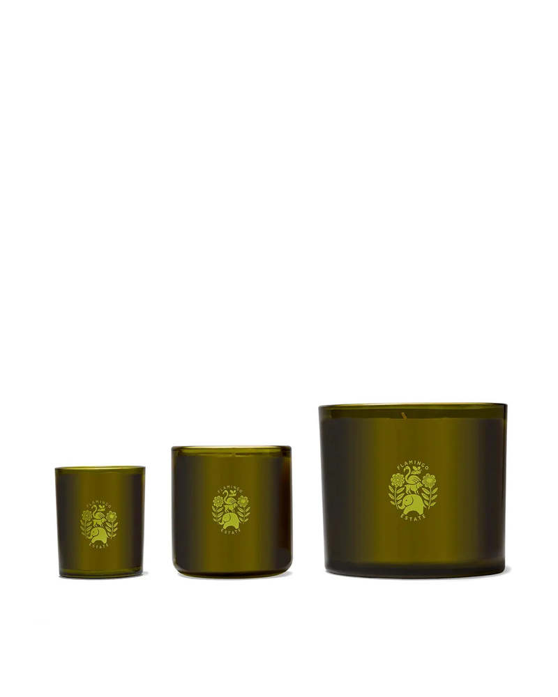Flamingo Estate Douglas Fir Vetiver Candle