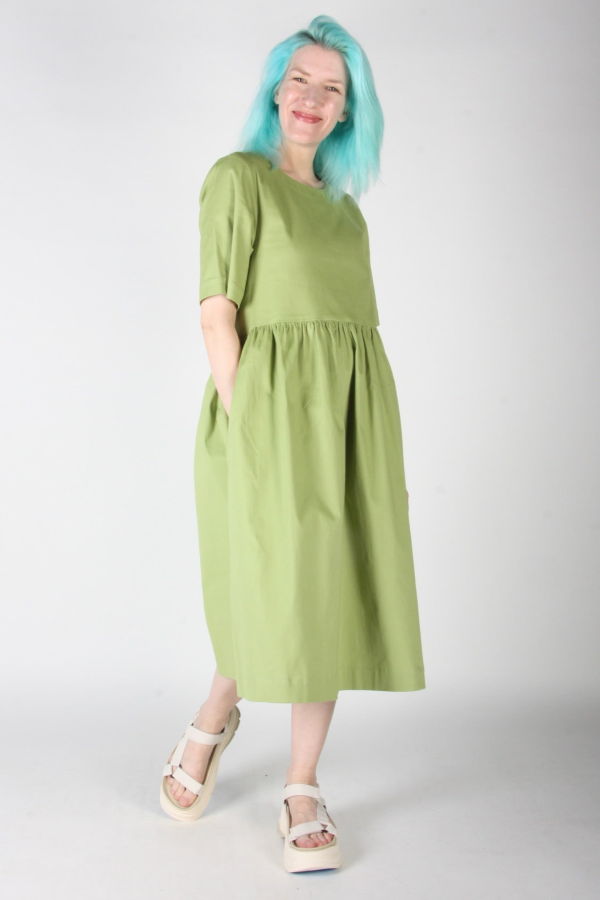 Birds of North America Tiger Shrike Dress - Avocado