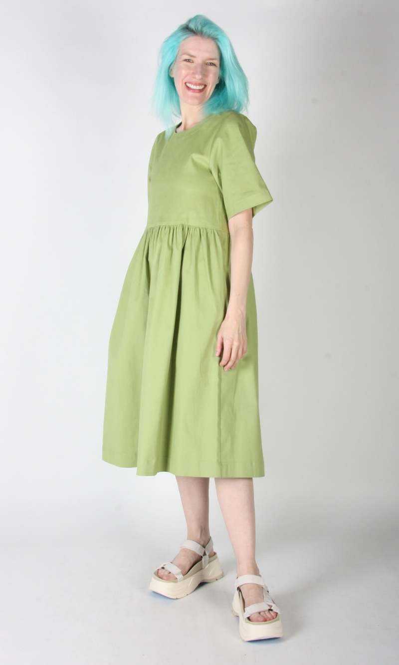 Birds of North America Tiger Shrike Dress - Avocado